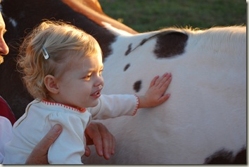 Gabby getting to pet a horse