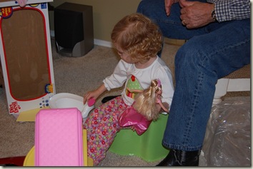 Potty chair