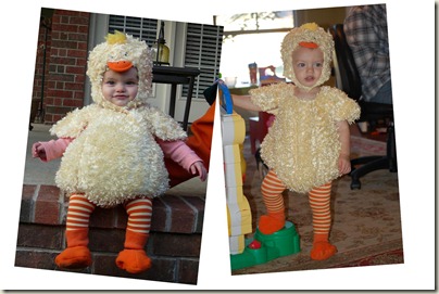Duck