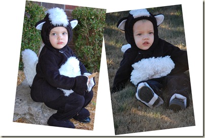 skunk